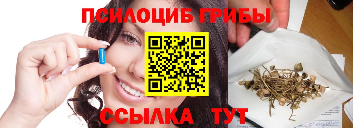 Ижевск  закладка  Вход с VPN  Галлюциногенные грибы прущие грибы 